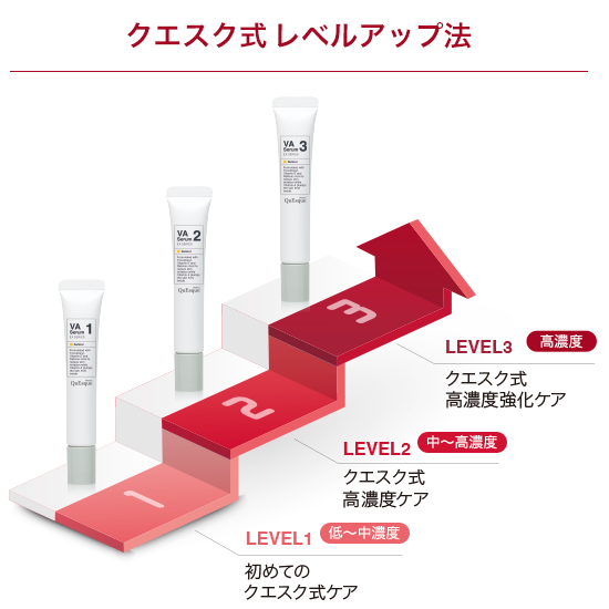 クエスク式レベルアップ法図